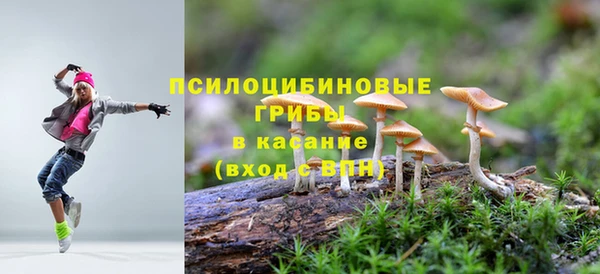 ПСИЛОЦИБИНОВЫЕ ГРИБЫ Беломорск
