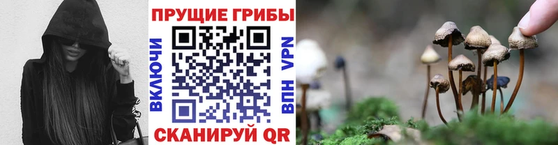 Псилоцибиновые грибы GOLDEN TEACHER  ОМГ ОМГ   Вятские Поляны 